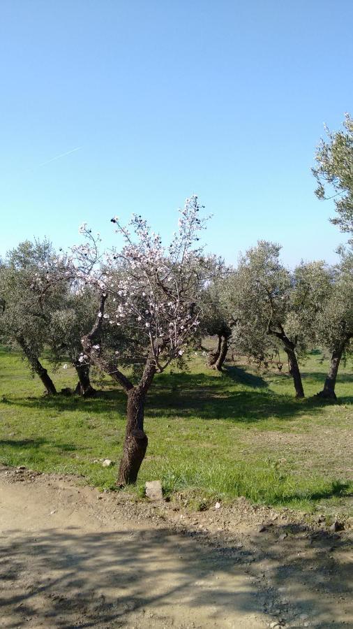 Cal Joanet, Acollidora Caseta A Gratallops Zewnętrze zdjęcie